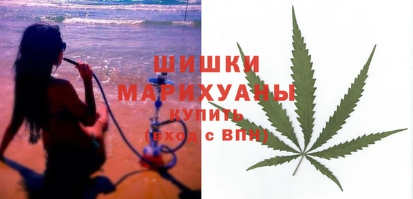 индика Красноперекопск
