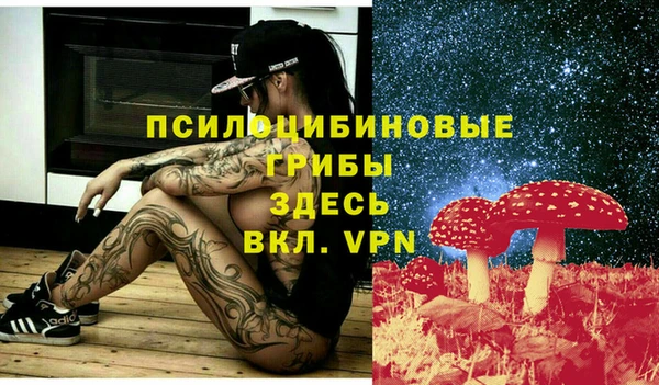индика Красноперекопск