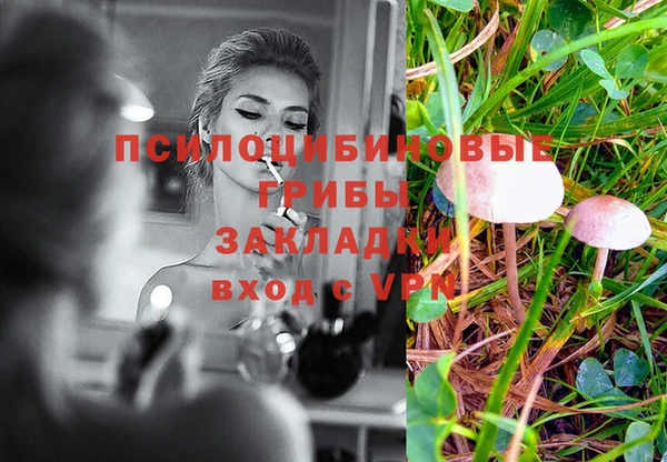 мдпв Краснотурьинск