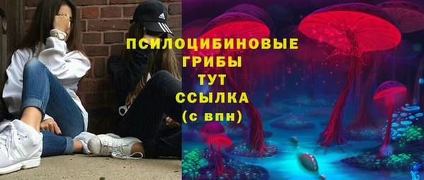 индика Красноперекопск