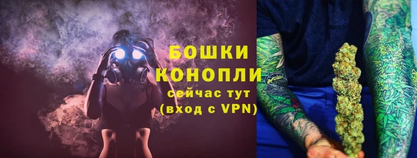 индика Красноперекопск